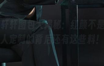 丽柜 – 轩轩图包大揭秘：红颜不是梦，私人定制的背后还有这些料！